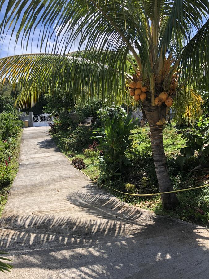 Le Val De Lys-Piscine Privee Villa Vieux Habitants Bagian luar foto